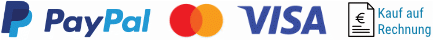 Zahlungsarten Logo